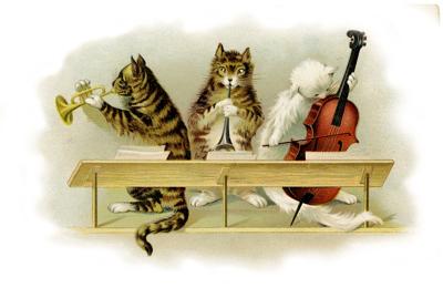 Cats