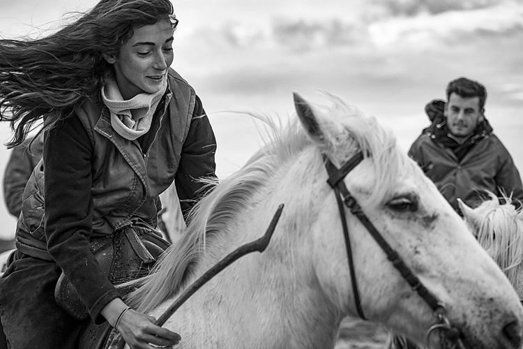 The wild and precious life of an ancient equine species