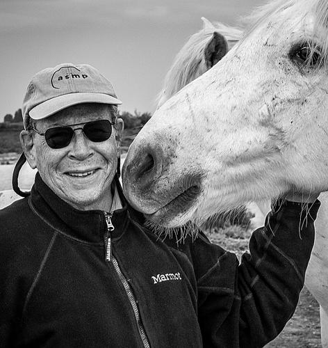 The wild and precious life of an ancient equine species