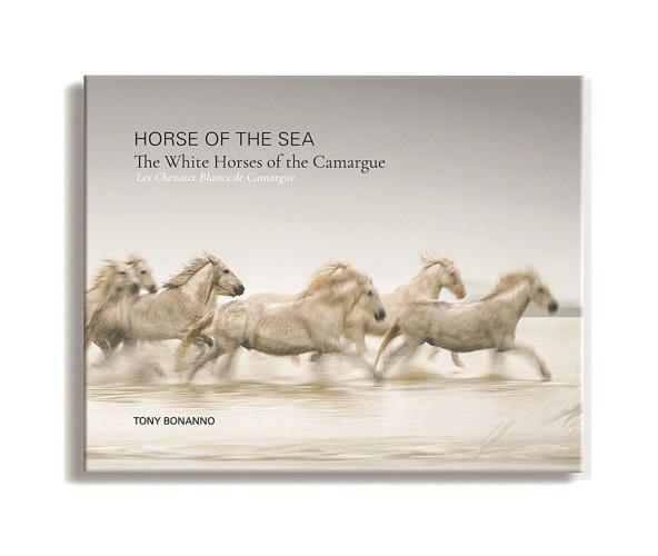 The wild and precious life of an ancient equine species