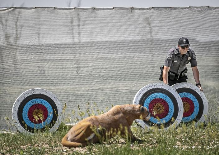 060824 jw summerfest4.jpg