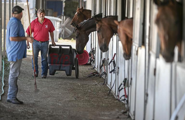 061924 jw ruidoso horses 2.jpg
